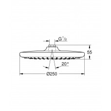 Верхний душ Grohe Tempesta 250 (26666000) 