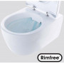 Инсталляция Geberit Duofix в комплекте с унитазом Smyle Rimfree, микролифт. 500.300.21.S